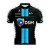 TEAM DSM